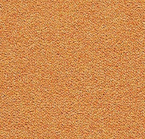 Ковровая плитка Tessera Chroma 3623 Tangerine фото 1 | FLOORDEALER